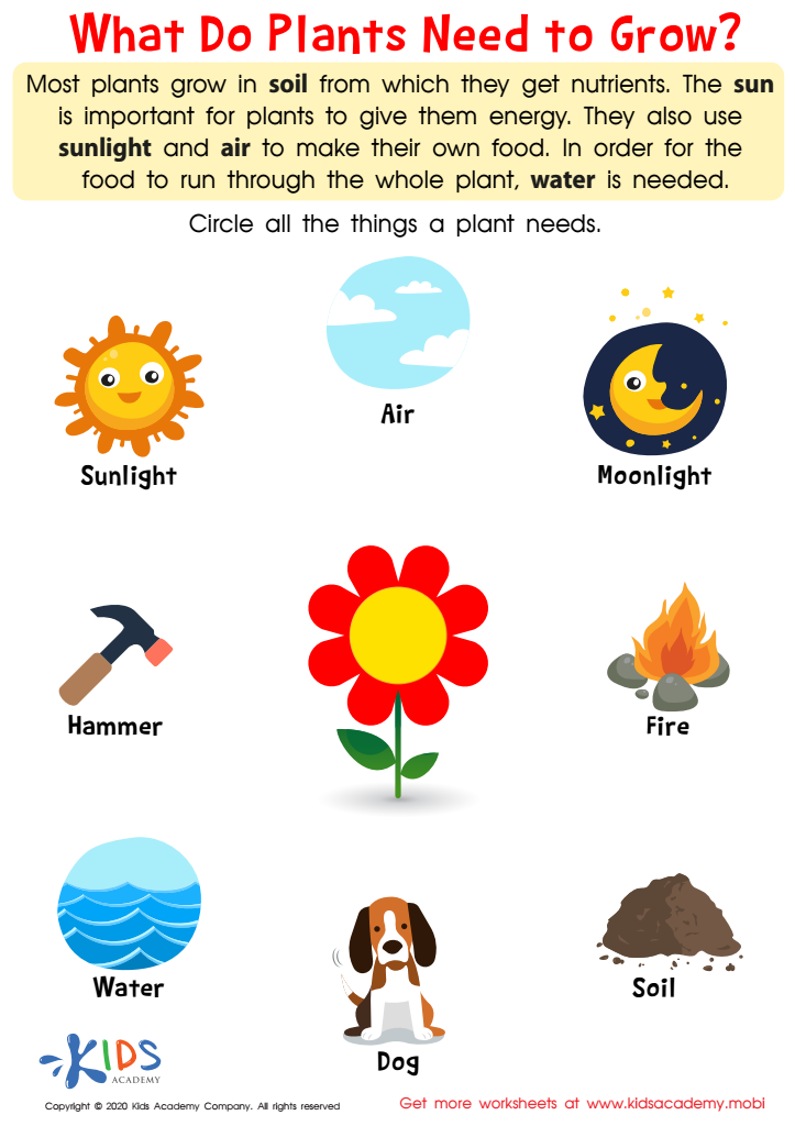 What Do Plants Need to Grow Worksheet: Free Printout for Kids