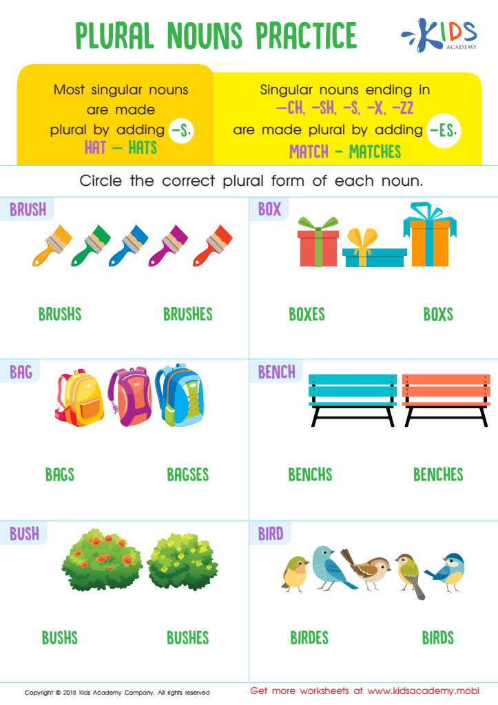 Plural Nouns Practice Worksheet