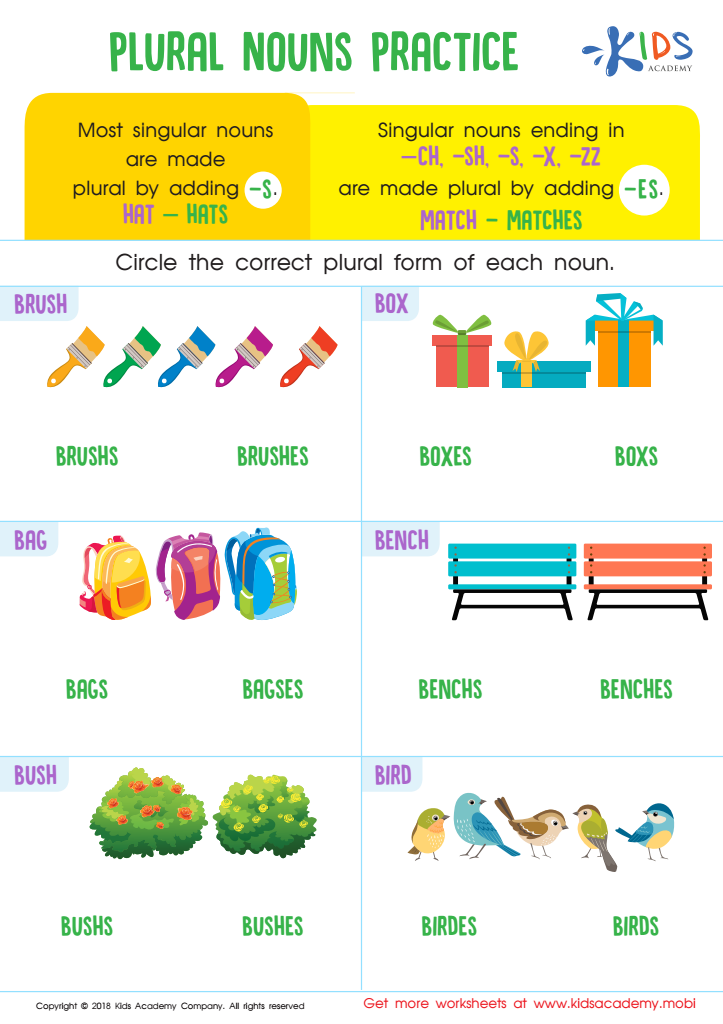 English - Class 1: One and Many (Singular and Plural) Worksheet 2 (Answer)