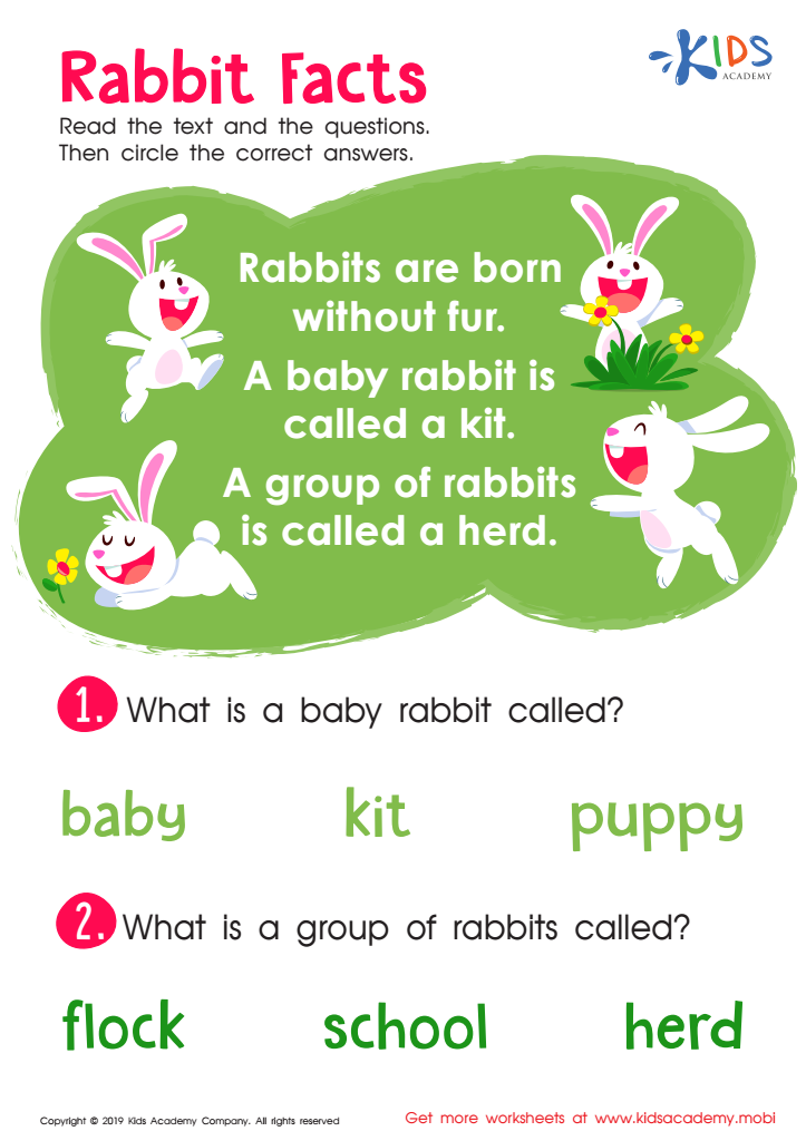 Rabbit Facts Worksheet