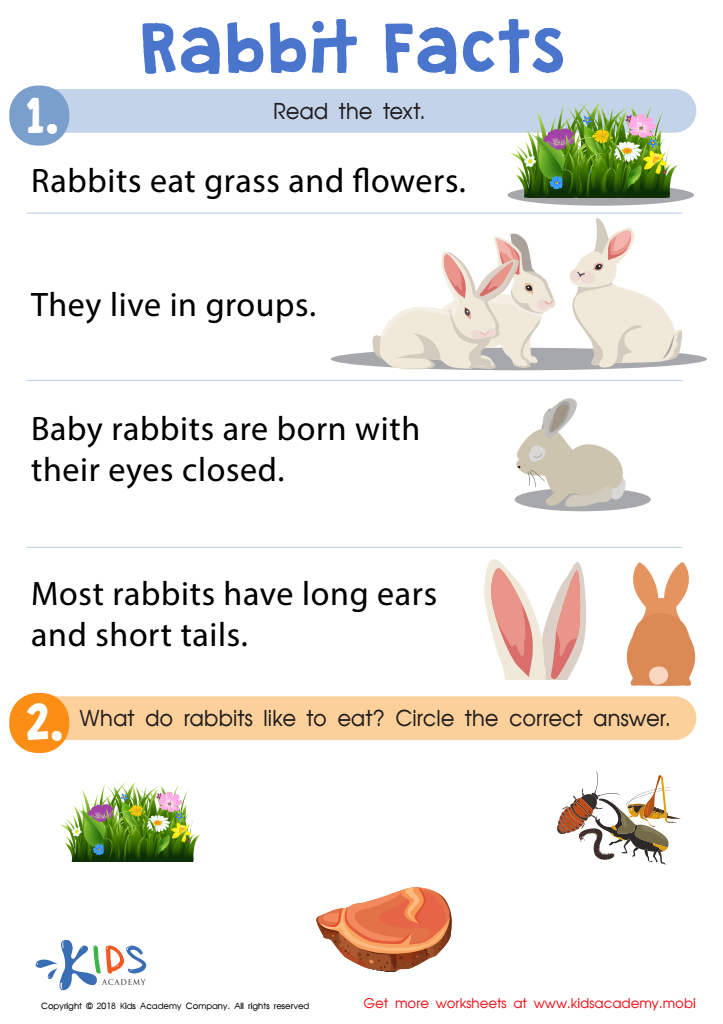 Rabbit Facts Worksheet