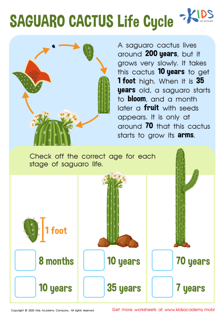 Saguaro Cactus Life Cycle Worksheet