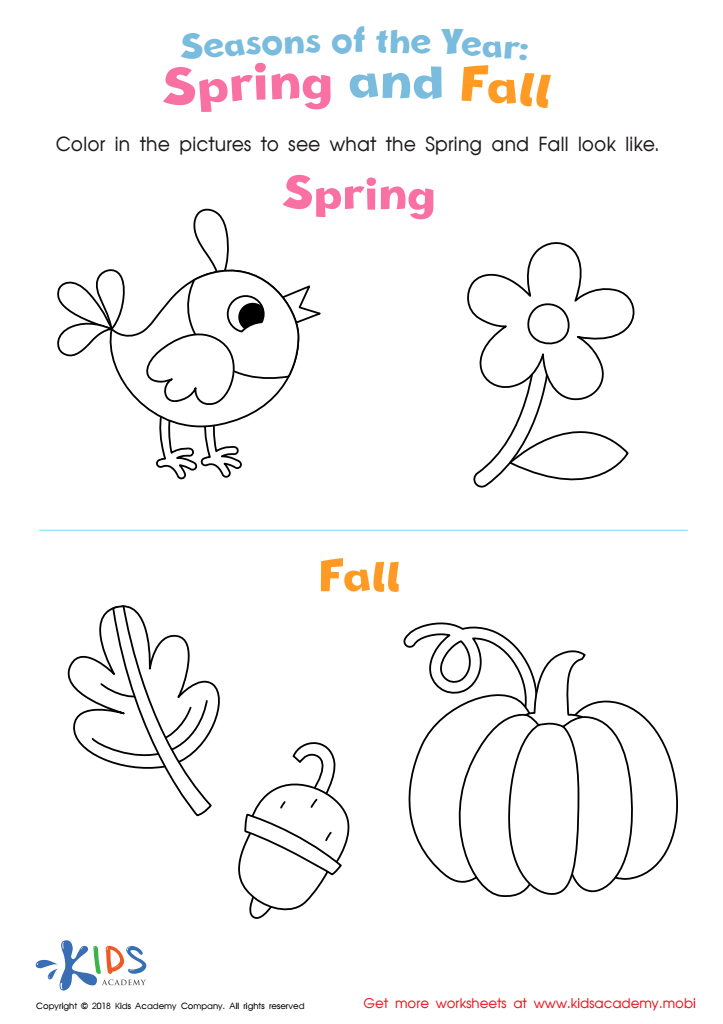 Spring and Fall Worksheet