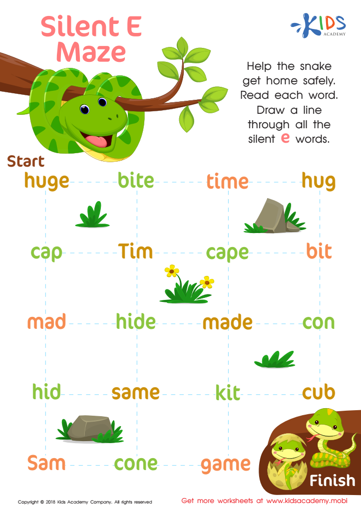 Silent E Maze Worksheet