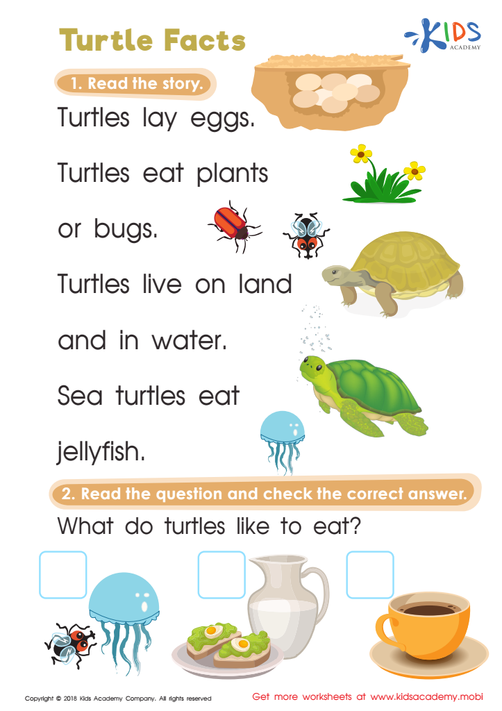 Turtle Facts Worksheet