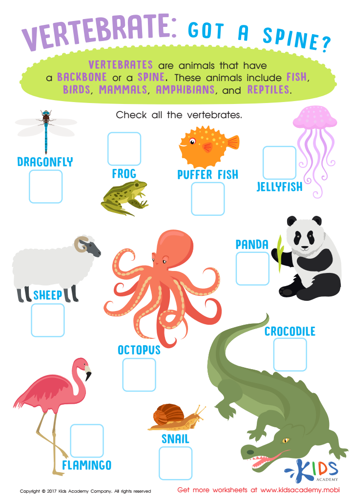 Vertebrates Animals Worksheet For 3rd Grade Free PDF Printout For Kids