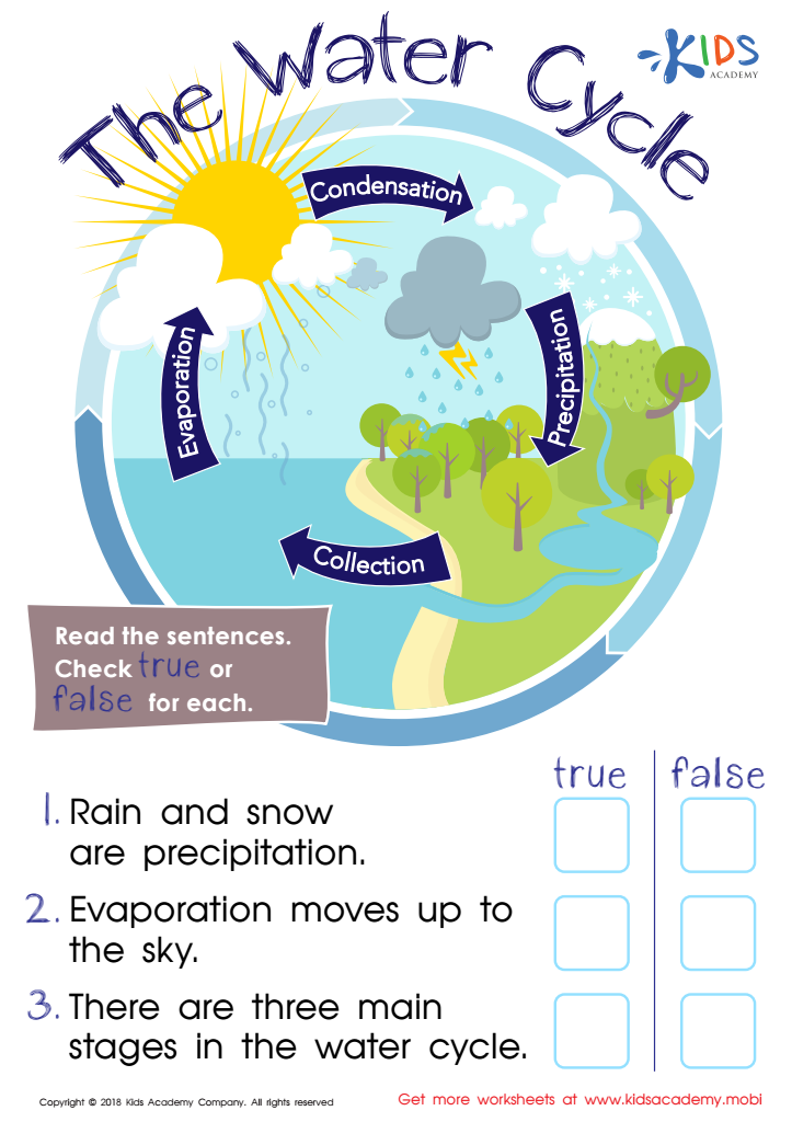 The Water Cycle Worksheet For Kids