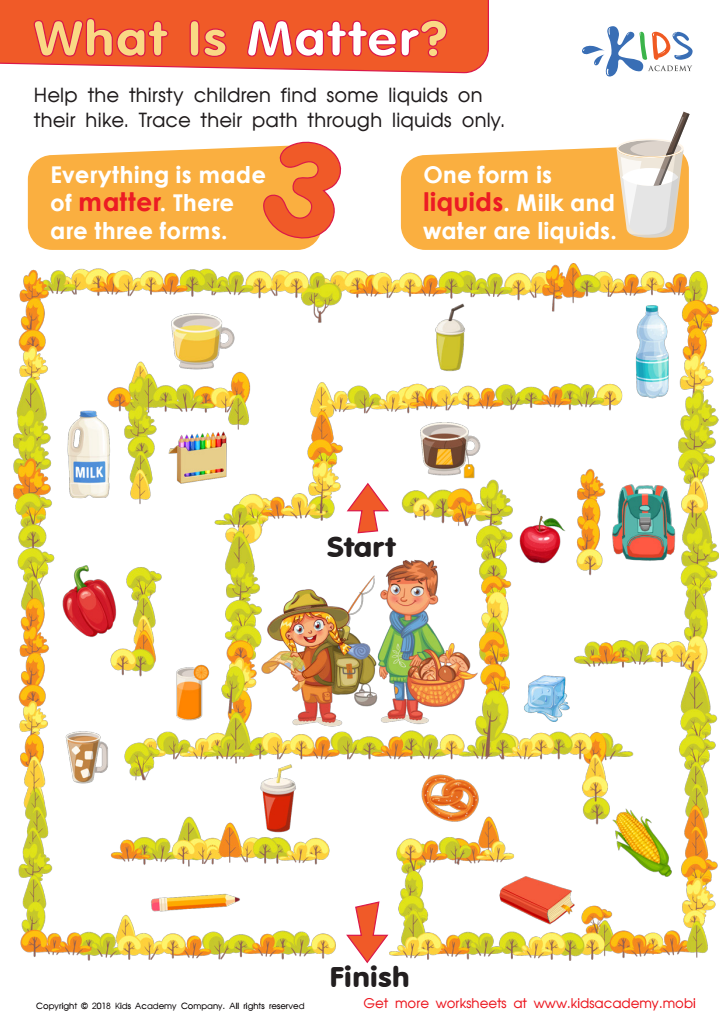 What Is Matter? Worksheet for kids