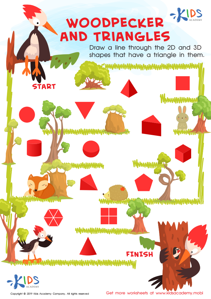 Woodpecker and Triangles Worksheet