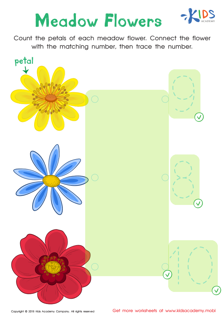 Kindergarten Number Tracing: Medow Flowers Worksheet Answer Key