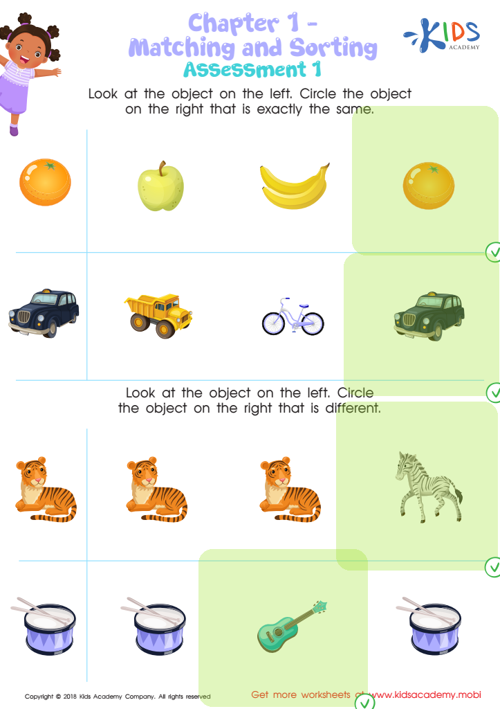 Matching and Sorting for Preschool: Assessment 1 Worksheet Answer Key