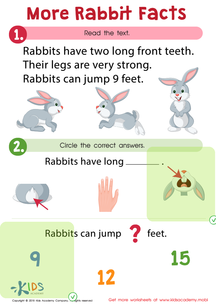 More Rabbit Facts Worksheet Answer Key