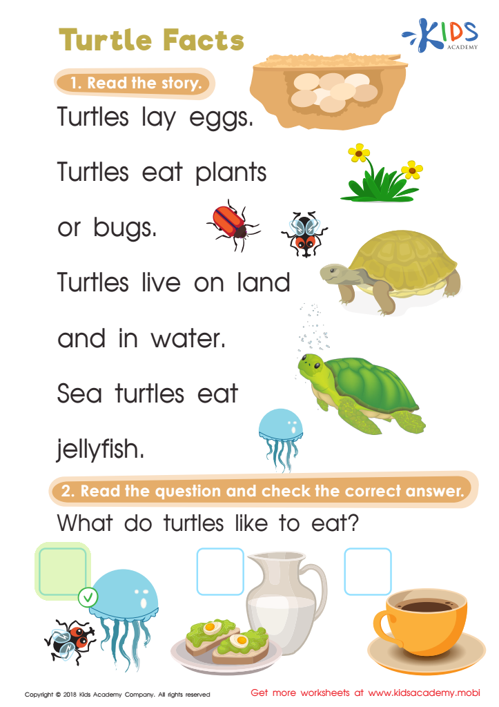 Turtle Facts Worksheet Answer Key