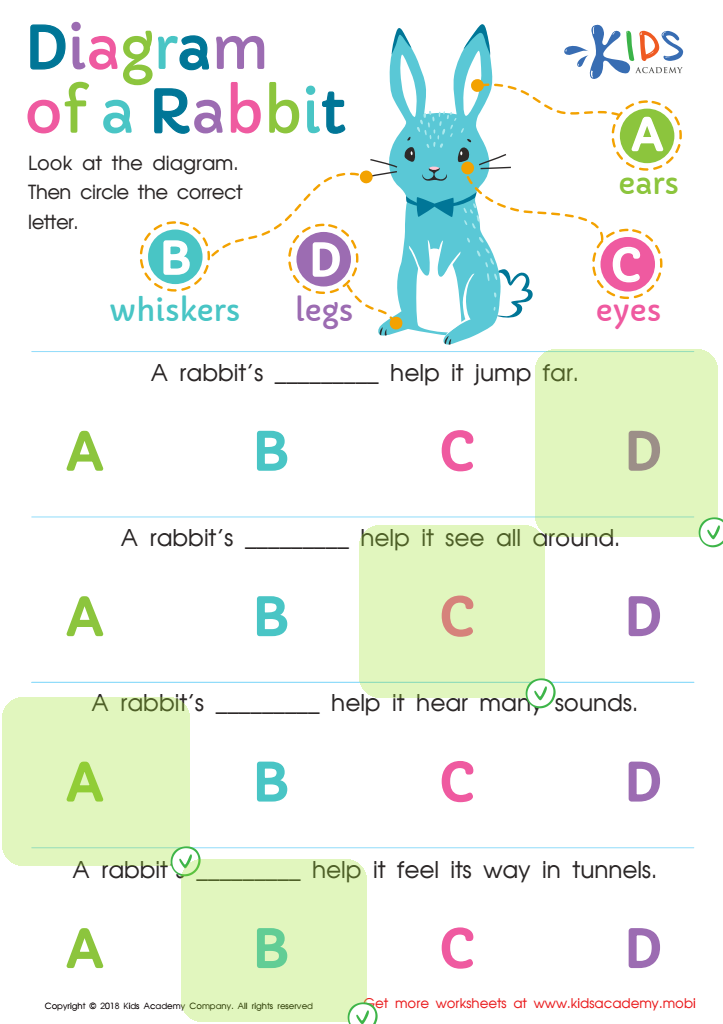Diagram of a Rabbit Worksheet Answer Key