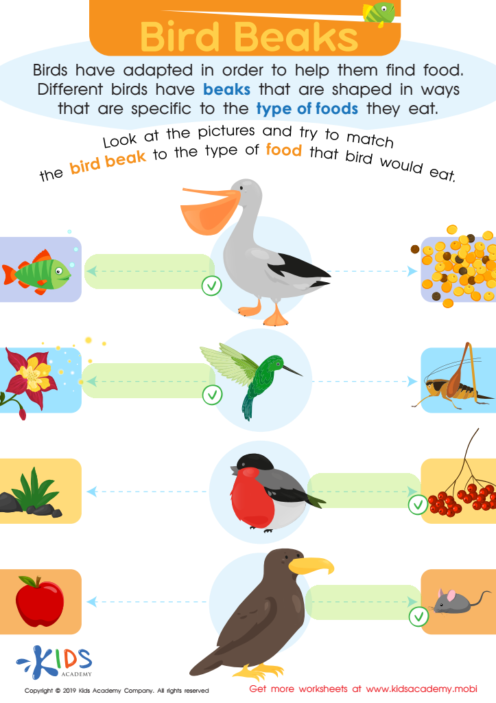 Bird Beaks Online Worksheet Answer Key