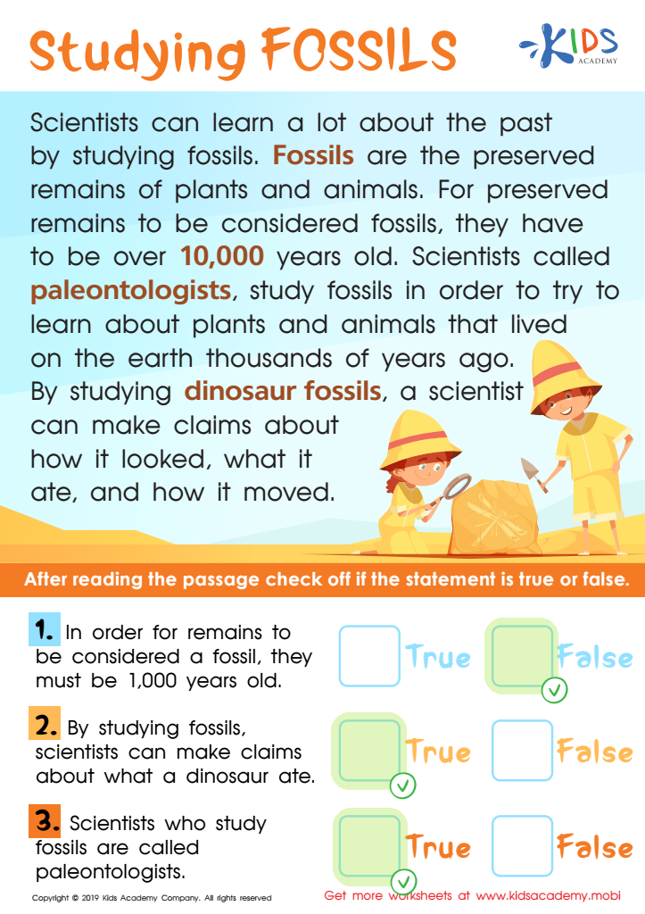 Studying Fossils Worksheet Answer Key