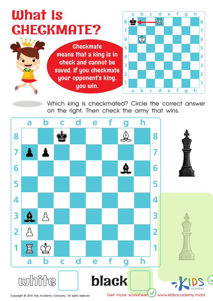 What is Checkmate? Worksheet Answer Key