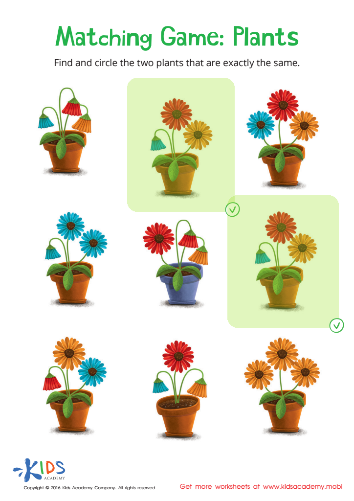 Matching: Plants Worksheet Answer Key