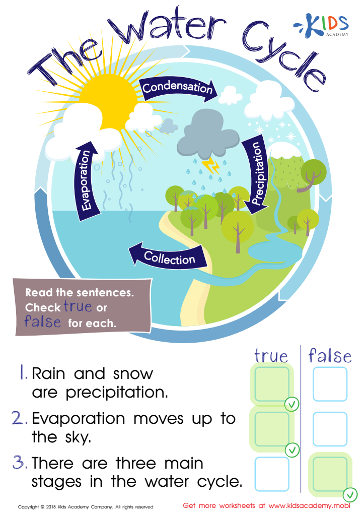 The Water Cycle Printable Worksheet Answer Key