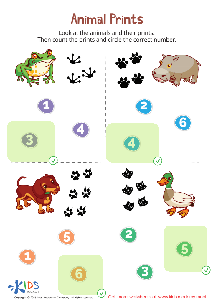 Animal Prints Match-Up Worksheet Answer Key