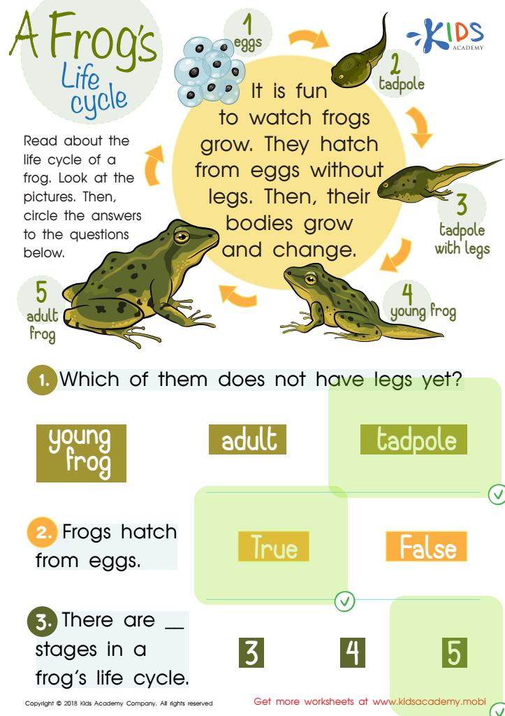 A Frog’s Life Cycle Worksheet Answer Key