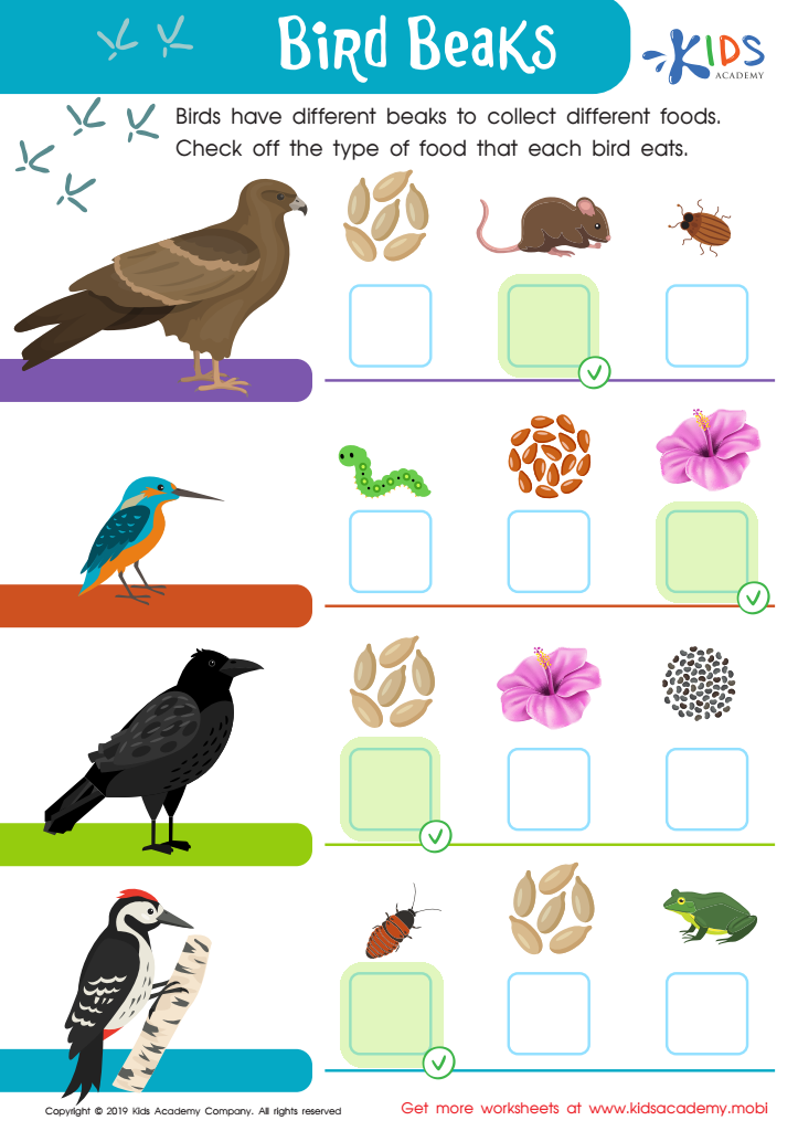 Bird Beaks Interactive Worksheet Answer Key