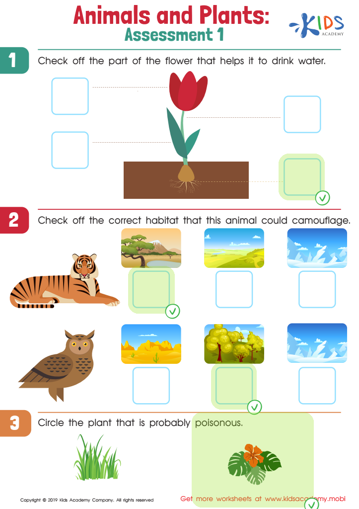 Animals and Plants: Assessment 1 Worksheet Answer Key