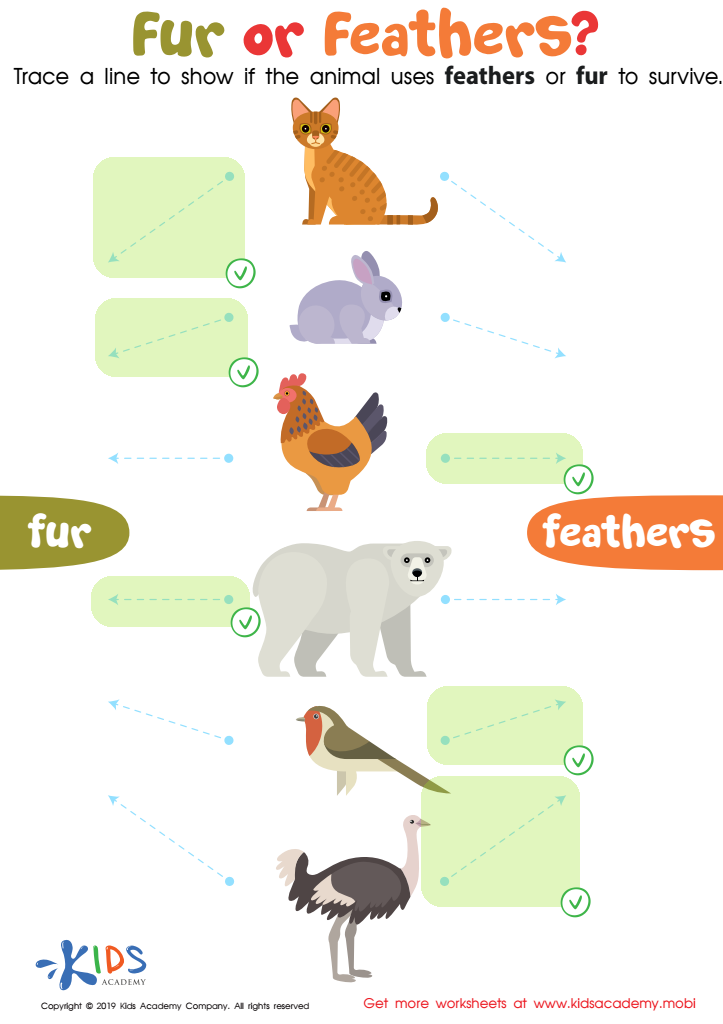 Fur or Feathers? Worksheet Answer Key