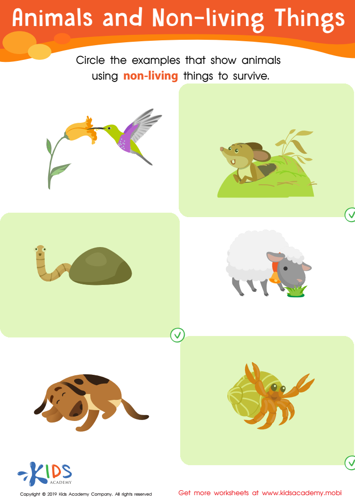 Animals and Non-Living Things Worksheet Answer Key