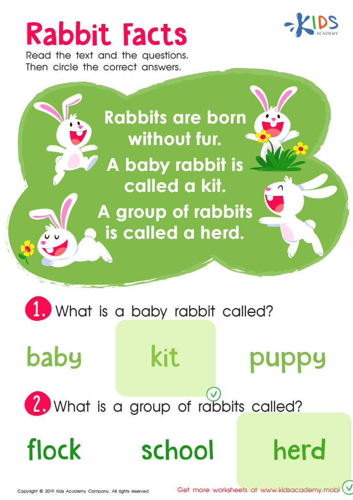 Rabbit Facts Fun Worksheet Answer Key