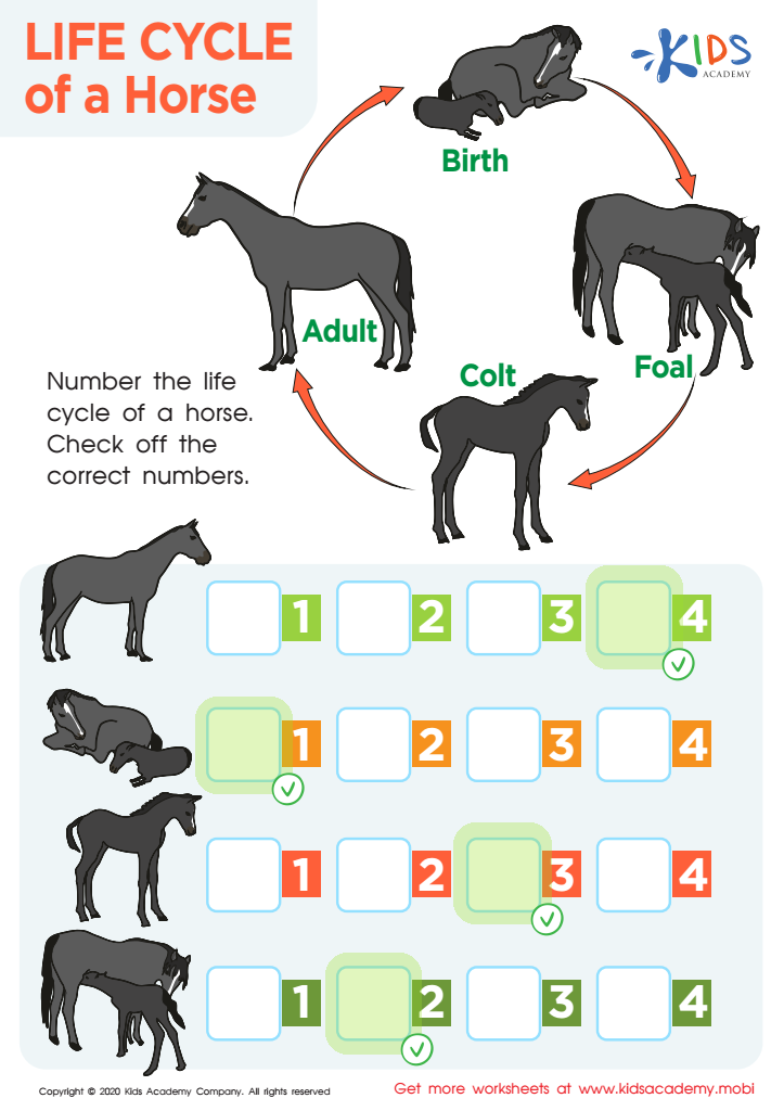 Life Cycle of a Horse Worksheet Answer Key