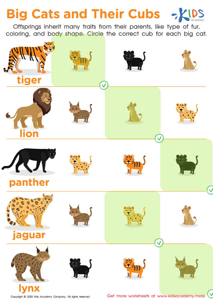Big Cats and Their Cubs Worksheet Answer Key