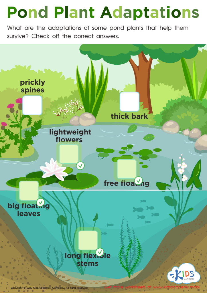 Pond Plant Adaptations Answer Key