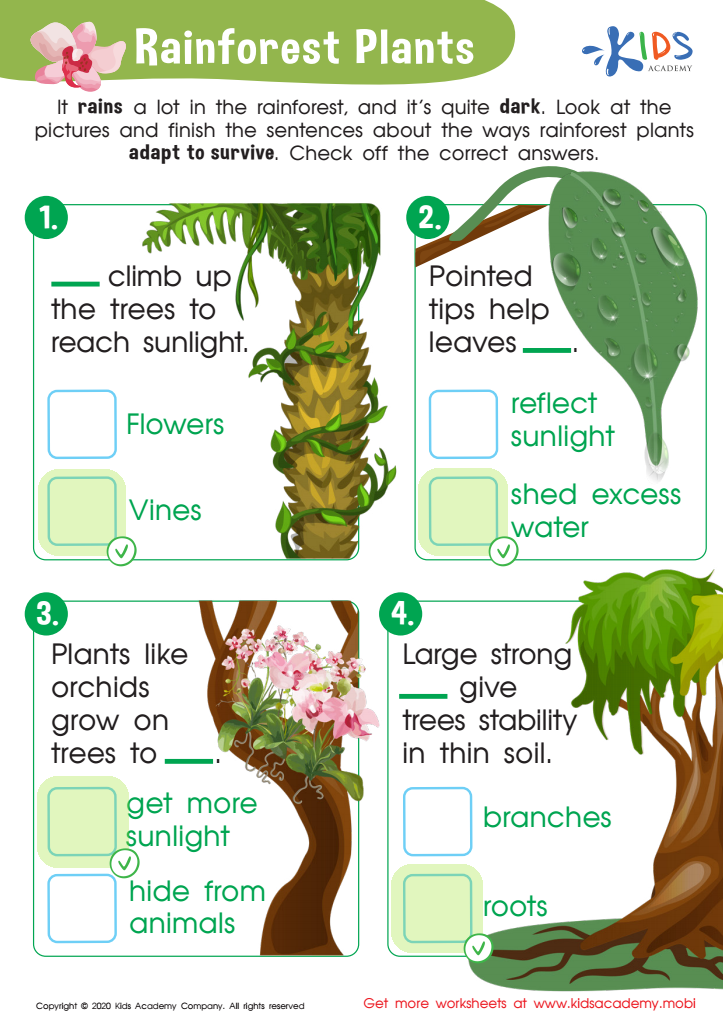 Practice Rainforest Plants Worksheet worksheet Answer Key