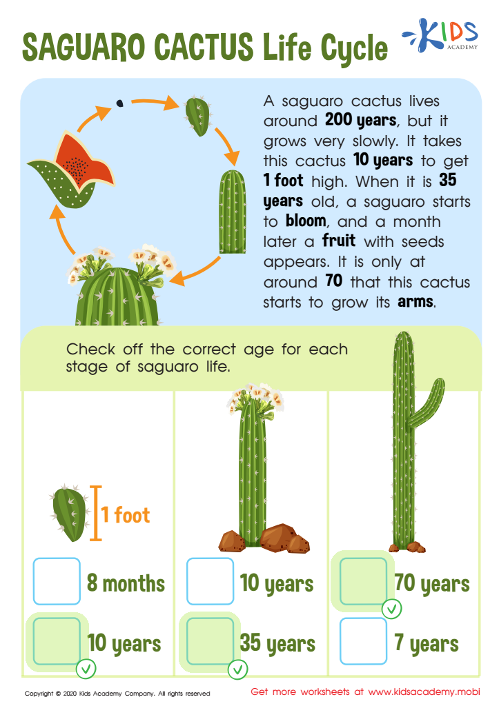 Useful Saguaro Cactus Life Cycle Worksheet worksheet Answer Key