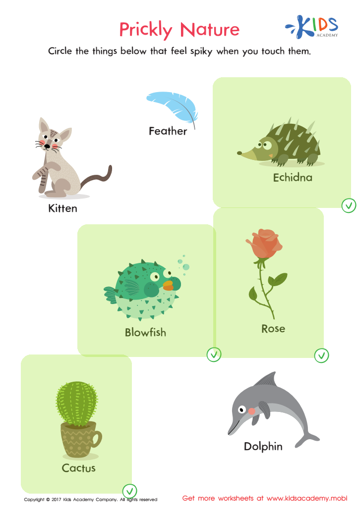 Prickly Nature Worksheet Answer Key