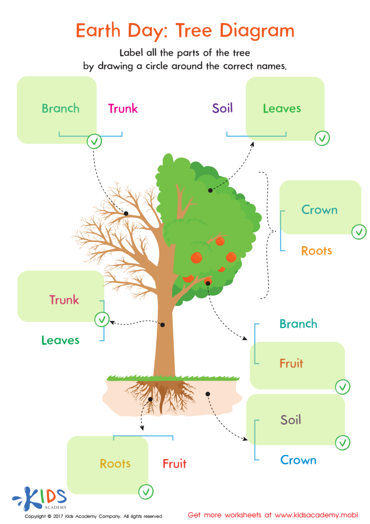 Earth Day: Tree Diagram Worksheet Answer Key