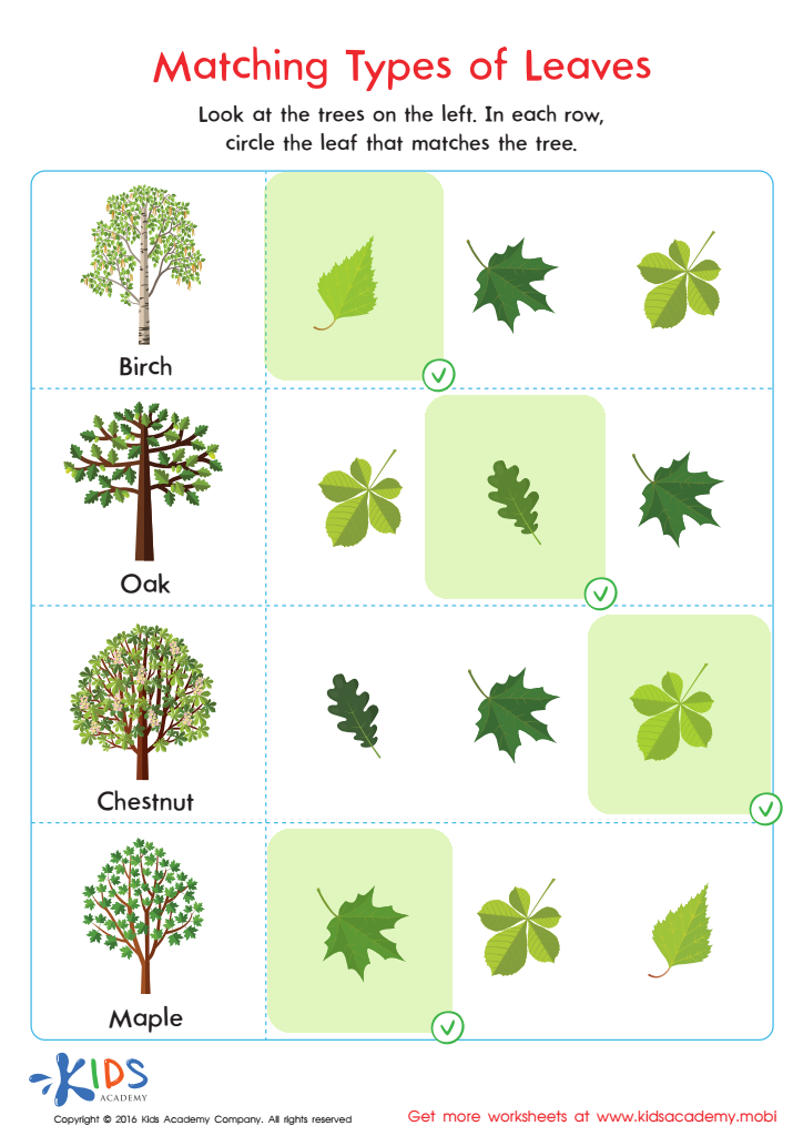 Matching Types of Leaves Printable Answer Key