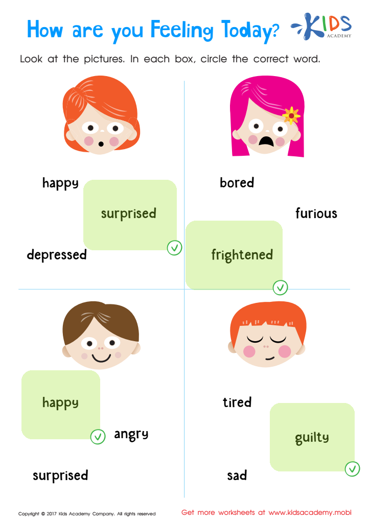 Understanding Feelings Worksheet Answer Key