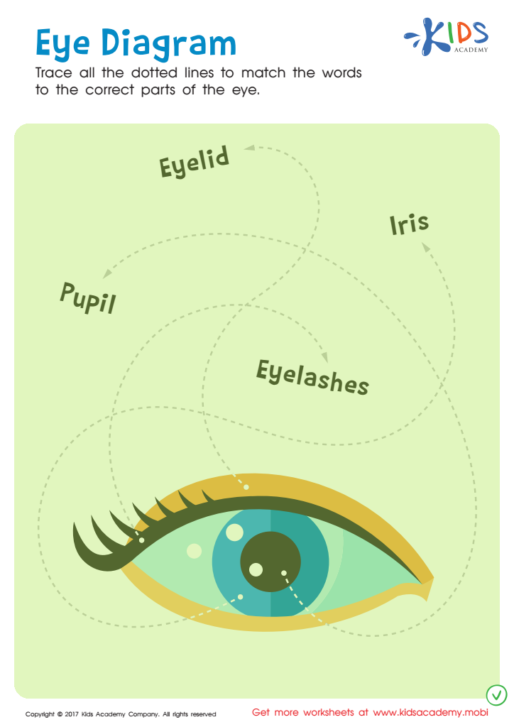 Eye Diagram Printable Answer Key