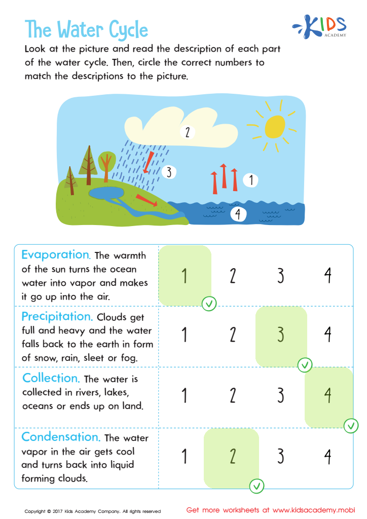 The Water Cycle Online Worksheet Answer Key
