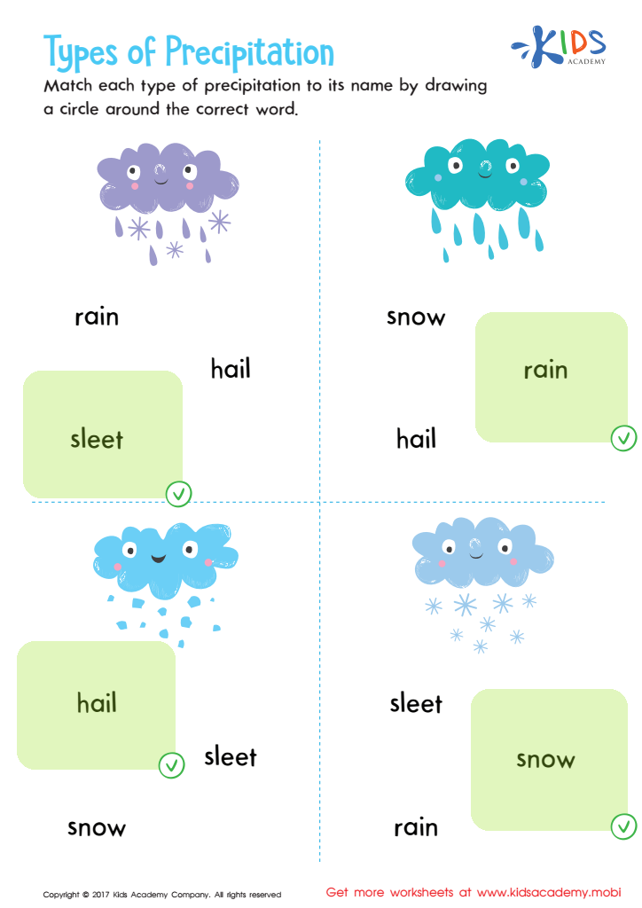 Types of Precipitation Printable Answer Key