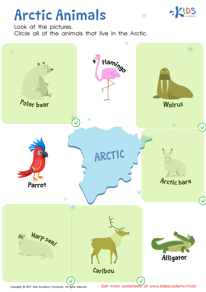 Arctic Animals Worksheet Answer Key
