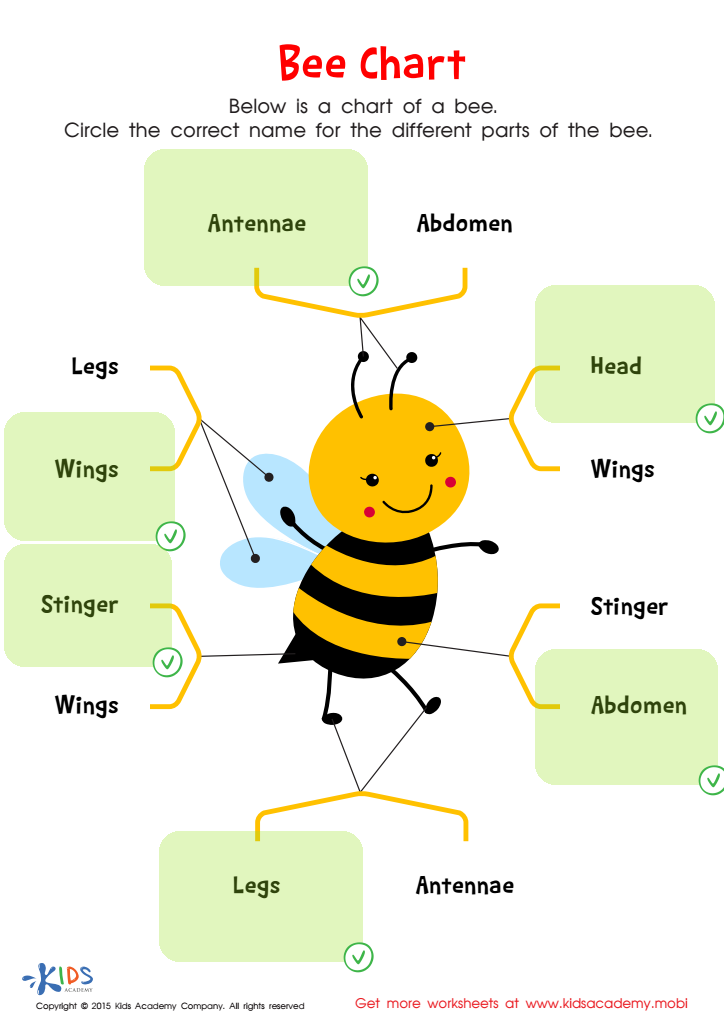Bee Chart Worksheet Answer Key