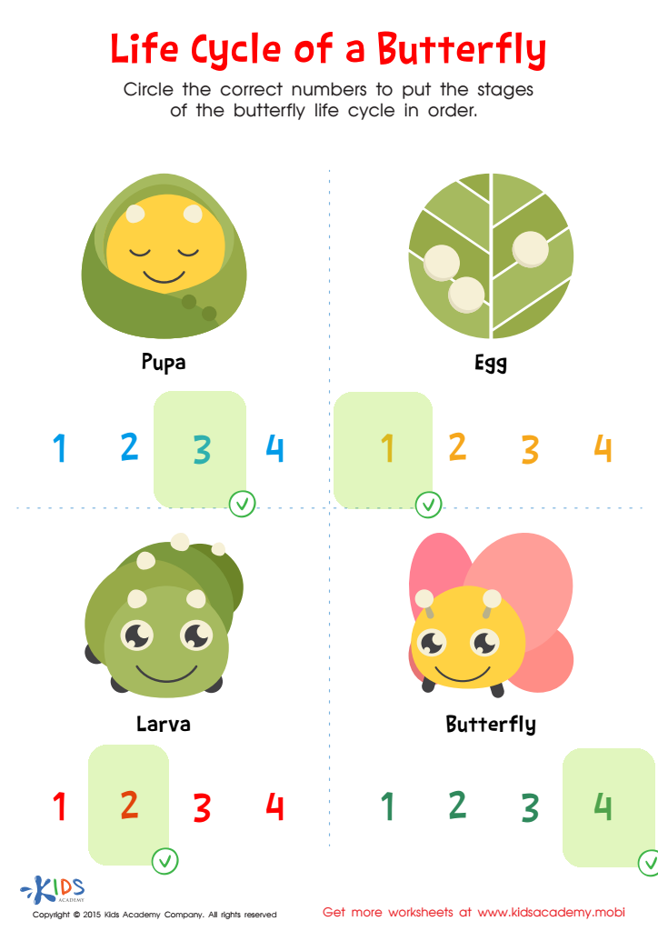 Life Cycle of Butterfly Printable Answer Key