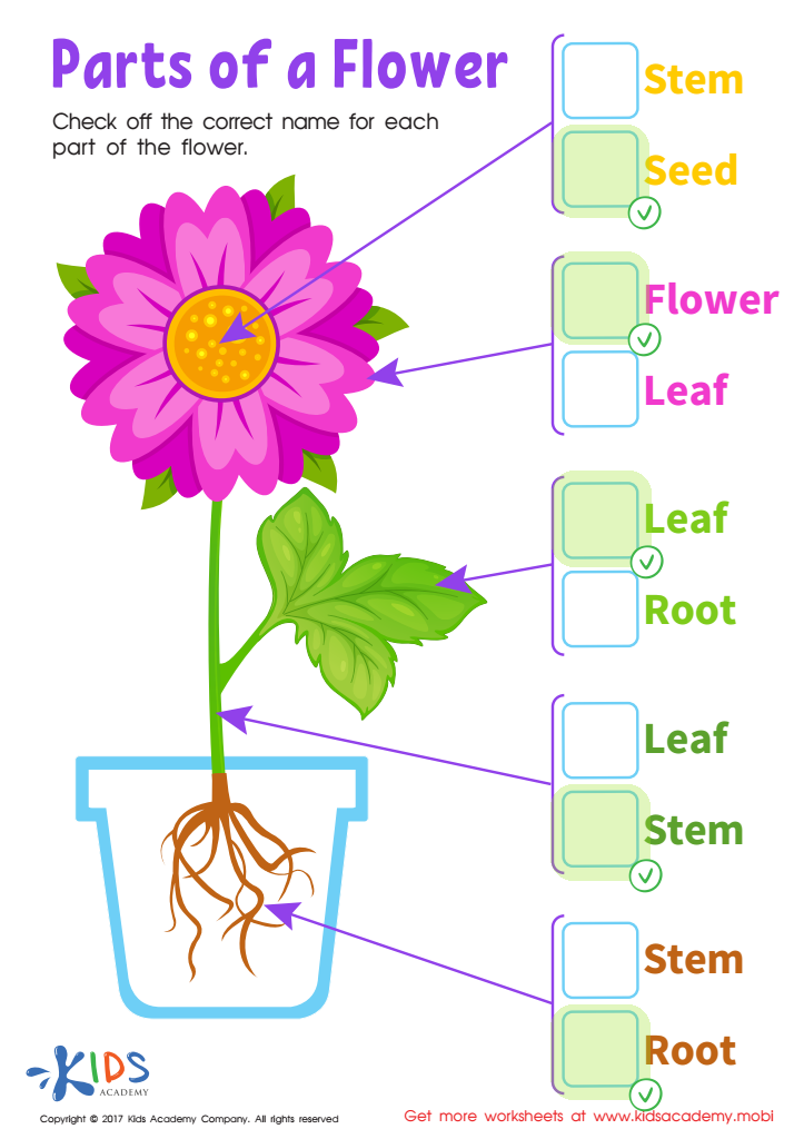 Parts Flower Printable Free Worksheet PDF For Kids Answers And