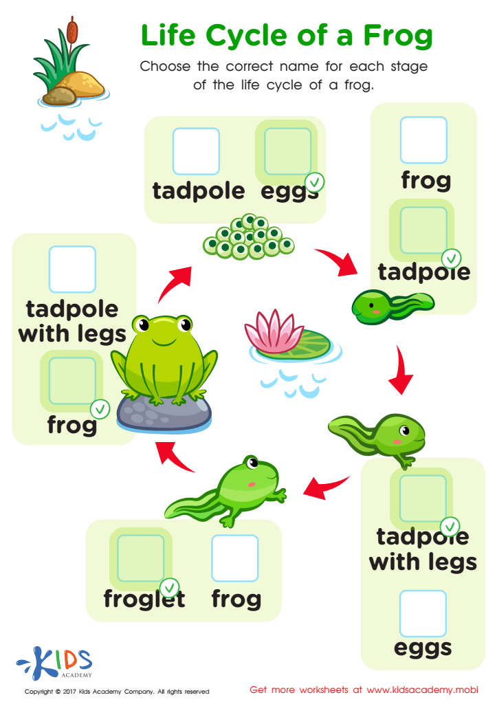 Life Cycle Frog Printable Answer Key