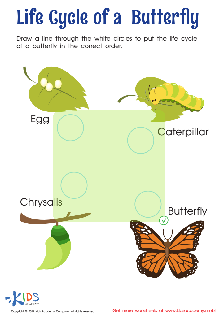 Life Cycle of Butterfly Worksheet Answer Key