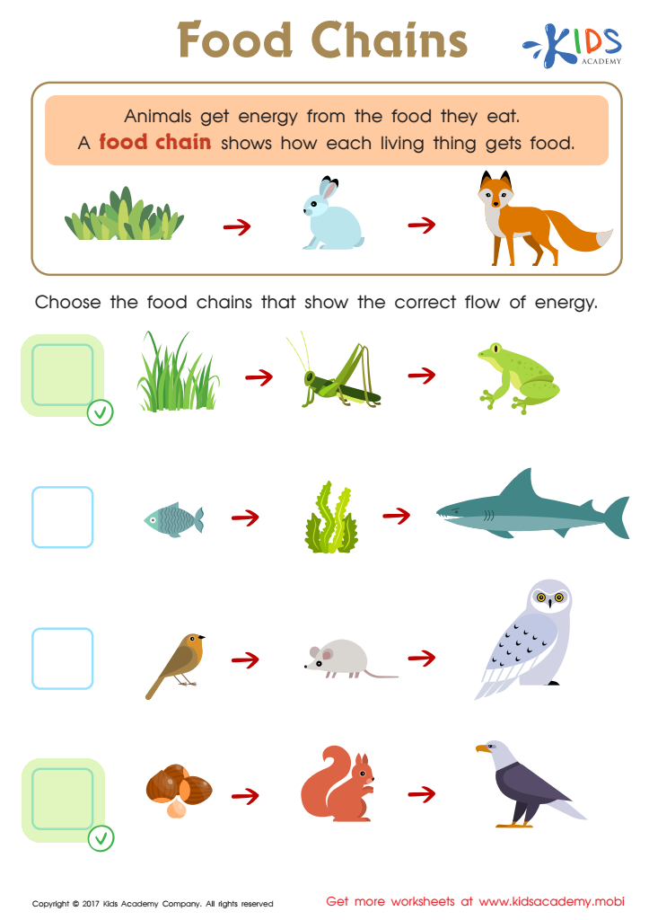 Food Webs and Food Chains Worksheet Answer Key