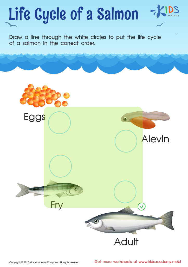 Cycle Of Salmon Worksheet Answer Key